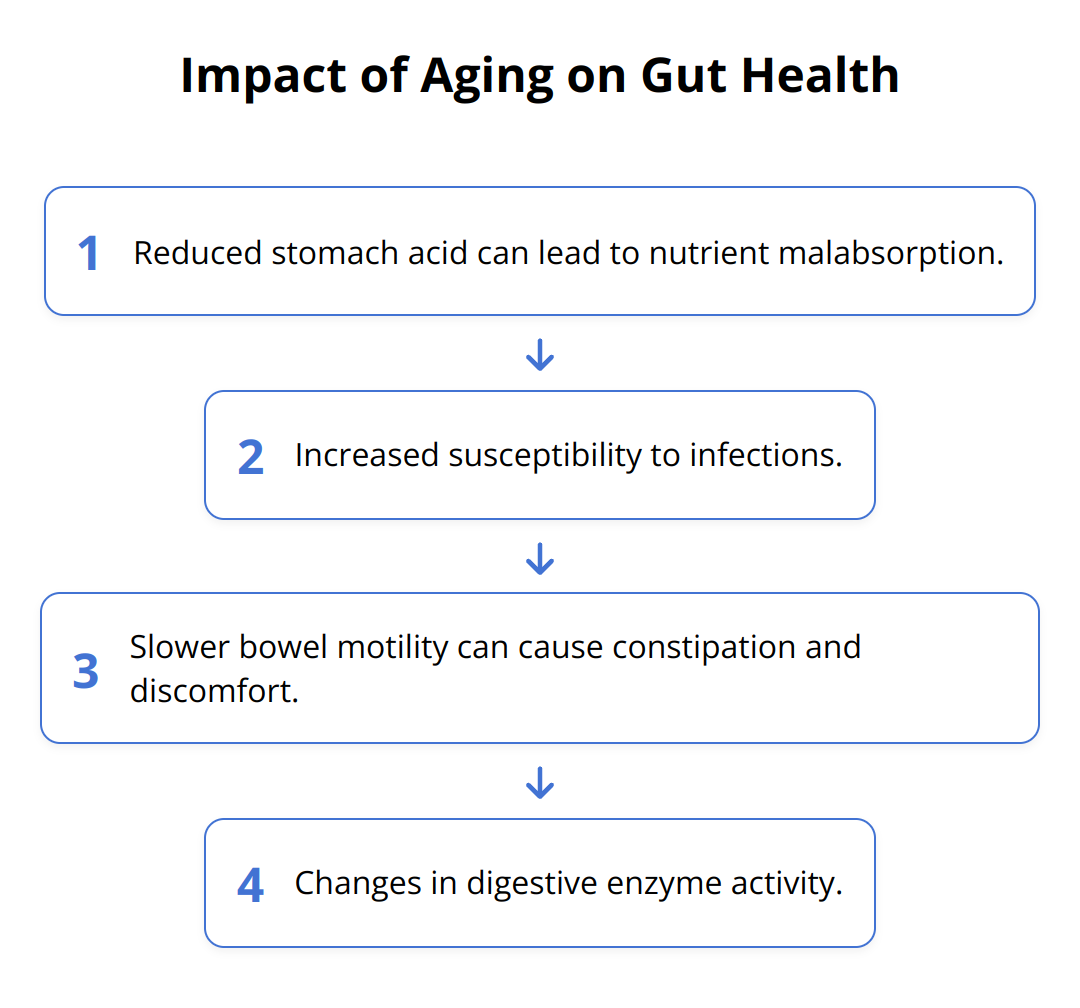 Flow Chart - Impact of Aging on Gut Health